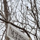 구불8길(고군산길) 이미지