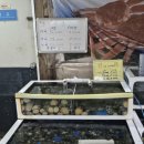 선산대로10-19 이미지