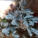 생명농장 이미지