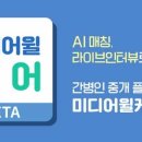 미디어윌