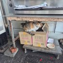 전곡항로 | 경기도 화성 가볼만한곳 서해랑 해상케이블카 무료순환버스 후기