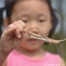 동심어린이집 이미지