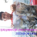 에바다호 이미지