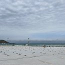 바다 그리고 이미지