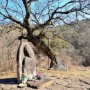 삼도상사 이미지