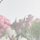 바스켓모먼트 이미지