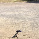 대우정식당 이미지