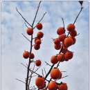 섬진강자전거길2 이미지