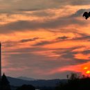 텃밭동천점 | 2025년 7월 다섯째주 기록 (일상,브이로그 찍기,더위 먹음,장군찜닭,물놀이,청도 계곡,경산 동촌면옥,논...