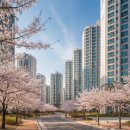 도봉-도봉-서울도봉-2189 | 금천현대아파트 실거래가 관리비.. 독산동 아파트 전세 월세 정보