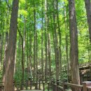 이편한2차단지내공인중개사사무소 이미지