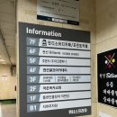 티나 세신샵 | 수원 티나세신샵 베이직케어 내돈내산 후기 | 임산부도 프라이빗하게 세신받기!
