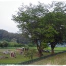 고인돌 오토캠핑장 이미지