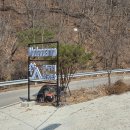 수동길 170 캠핑 | 모두의 캠핑장 후기, 횡성 캠핑장, 강원도 캠핑, 강원도 캠핑장, 1박2일 미니멀 캠핑, 애견 동반 가능...