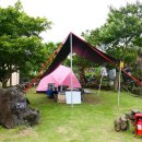 비체올린 이미지