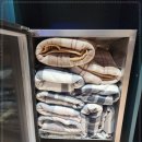 신림동스터디카페 24시간 북카페 감성 방문 후기