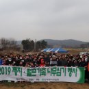 가족나무 이미지