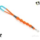 오렌지애견 이미지