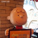 찰리브라운카페 이미지
