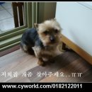 수컷 이미지