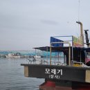 속초 체험 : 만선의 꿈을 안고 간 속초모래기배낚시체험 후기