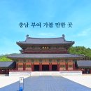 부여(사비)-01 이미지