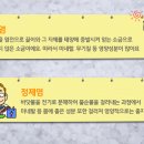 태양이미용재료 이미지