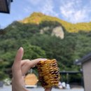 상류펜션 | 횡성가족펜션 찾는다면 여기! 신대계곡 바로 앞 까만콩펜션 201호 투숙 후기