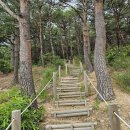 괴시2리 관어대 입구 Daum카페