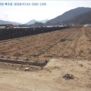 남일면 음대교 이미지