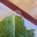 신중국관 | 부산 사상구 괘법동 맛집추천 및 왓더버거 사상점 충격 방문후기[상추에 벌레가 ㅠ]