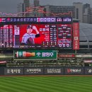 위즈파파 이미지