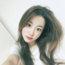 팬덤 이미지