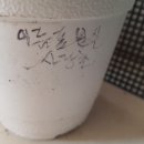 시랑 초등학교 이미지