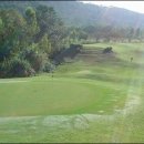 힐링골프 이미지