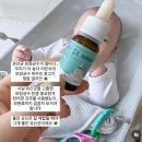프로디디