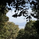 백운동 정원 | 강진 여행 어디 갈까? | 백련사 동백 • 가우도 출렁다리 • 백운동정원 완벽 코스