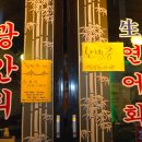 낭만연어 이미지