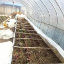 어부네농장 이미지