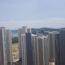 일광 자이 206동 앞 이미지