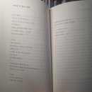 📚 시집 추천 고양이가 키보드를 밟고 지나간 뒤 진수미