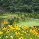 거제뷰골프텔 이미지