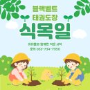 큰나무태권도장 이미지