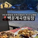 화동로 | [서울근교 계곡캠핑장] 성인 가능 넓은 수영장이 있는 &#39;백운계곡캠핑장&#39; 달빛동 후기