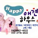 해피애견하우스 이미지
