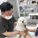 도청동물병원 이미지