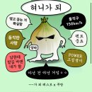 봄봄플라워 이미지