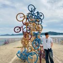 석모도바람길 | 석모도 여행 코스 사진 찍기 좋은 명소 칠면초 해안길, 석모바람길 포토존