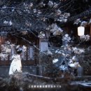 중드 귀녀 (雁回时) 9화까지 본 후기 + 팬미팅 재미난 점 + 국내 Ott 소식