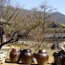 구례산수유꽃축제 열릴즈음 구례여행, 구례산수유꽃축제가 열리는 구례 운조루에서나눔과베품의 10대정신을배우고,전통가옥 한옥펜션 곡전재를 가보자 이미지